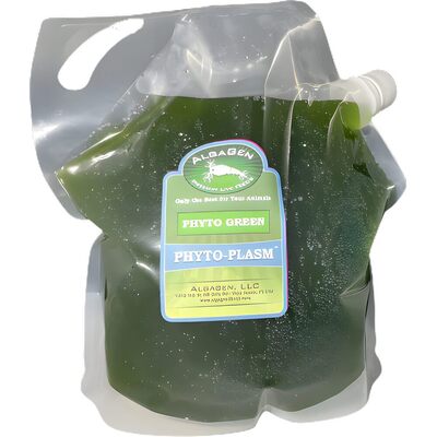 Phyto-Plasm™ 1 Gallon Wholesale