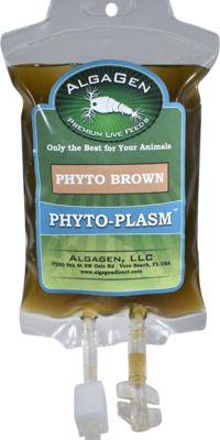 Phyto-Plasm™ Phyto Brown
