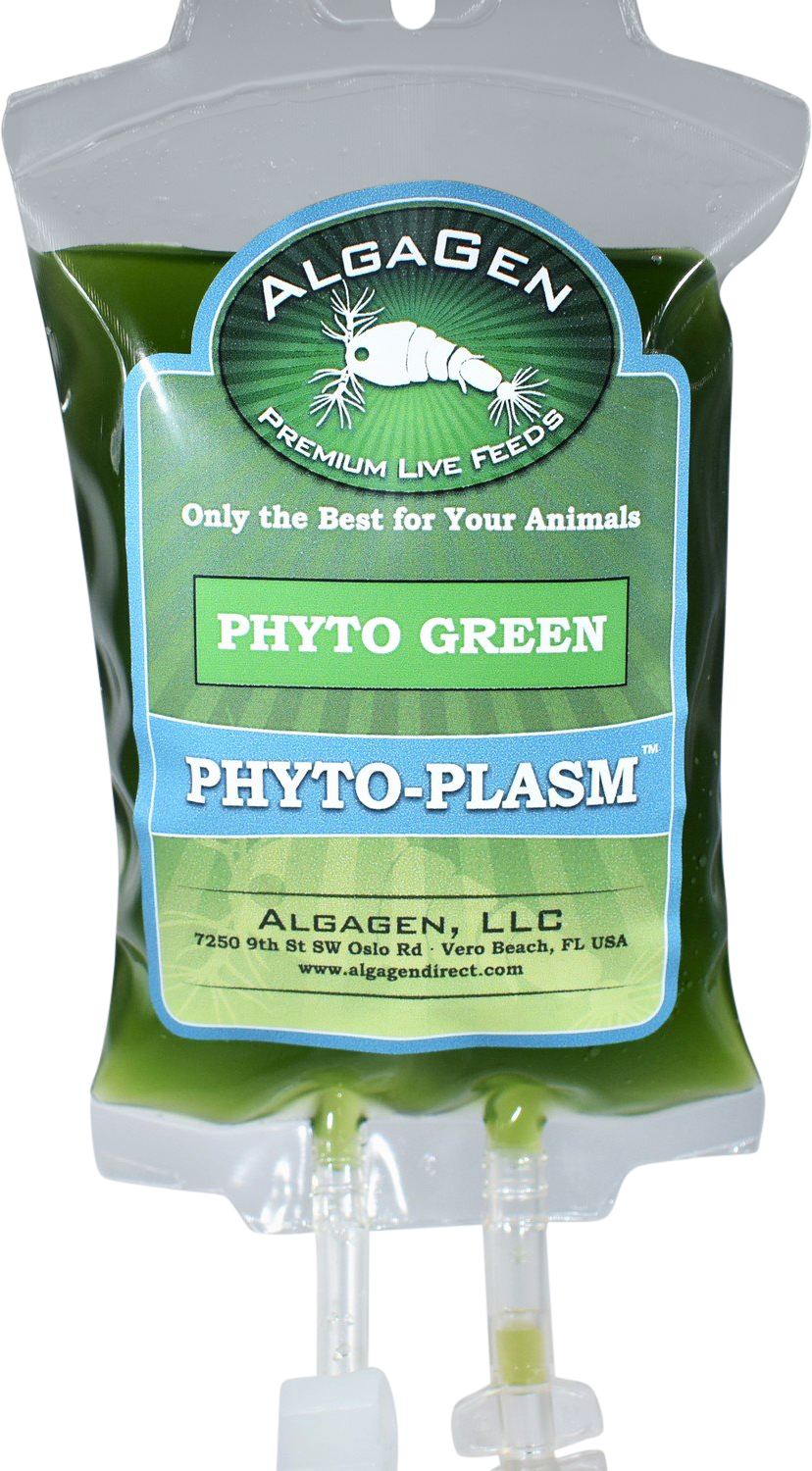 Phyto-Plasm™ Phyto Green