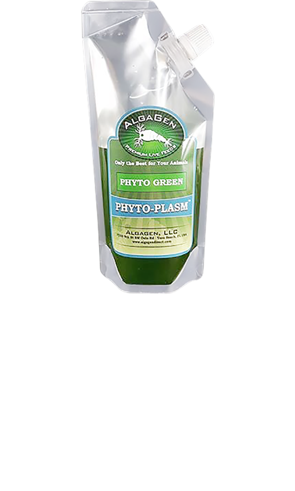 Phyto-Plasm™ Phyto Green