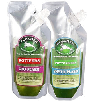 Rotifer Starter Combo