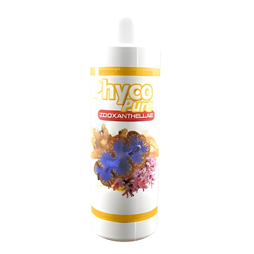 PhycoPure™ Zooxanthellae Wholesale