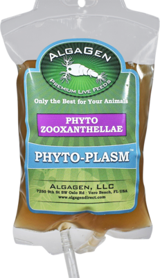 Phyto-Plasm™ Phyto Zooxanthellae