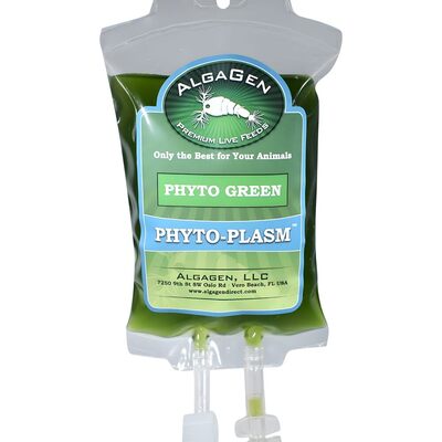 Phyto-Plasm™ Phyto Green