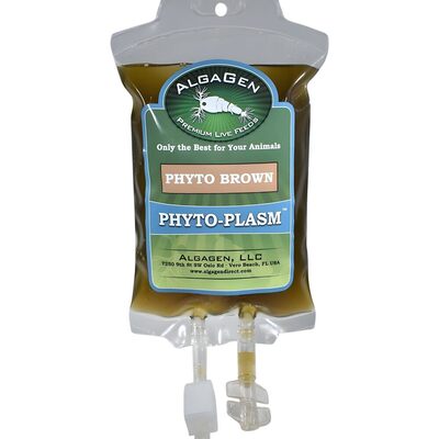 Phyto-Plasm™ Phyto Brown