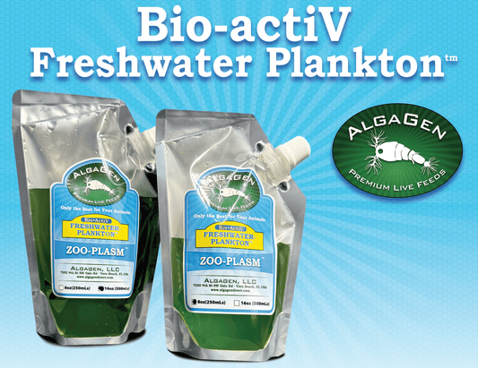 PhycoPure Greenwater for Freshwater Tanks