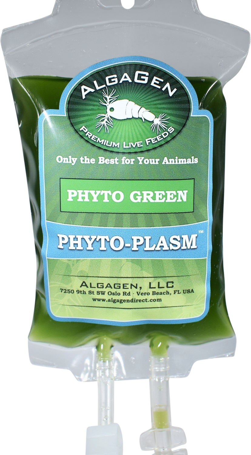 Phyto-Plasm Phyto Green Easy Feed