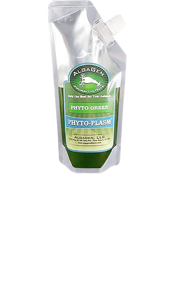 Phyto-Plasm Phyto Green Pouch