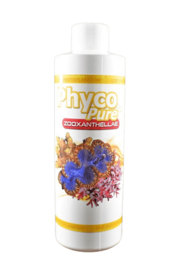 PhycoPure Zooxanthellae