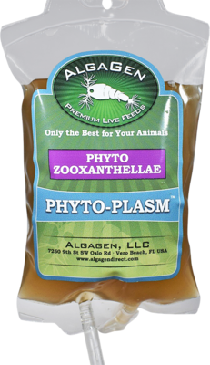 Phyto Plasm Phyto Zooxanthellae